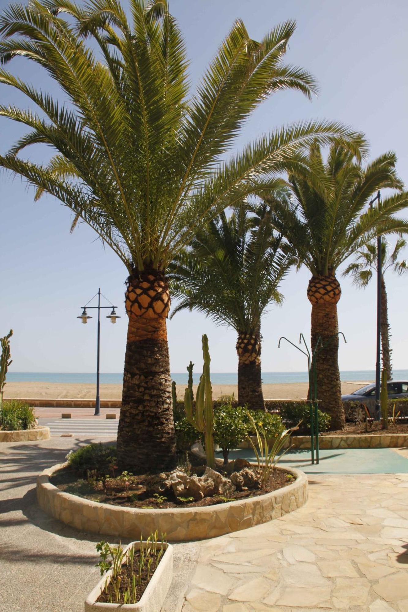 Peñíscola Apartamentos Florida II מראה חיצוני תמונה